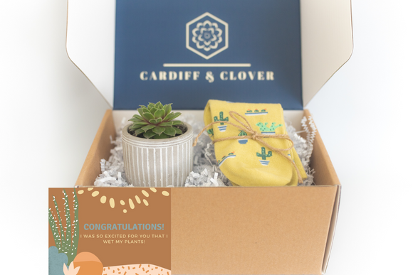Congratulations Succulent Gift Box with Plant Socks