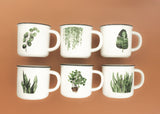 Thank You Succulent Gift Box with Ceramic Plant Mug