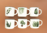 Congrats Engagement Succulent Gift Box with Set of 2 Mugs