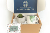 Birthday Succulent Gift Box with Ceramic Plant Mug