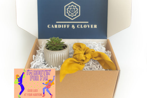 Good Luck Audition Succulent Gift Box with Knotted Silk Scrunchie