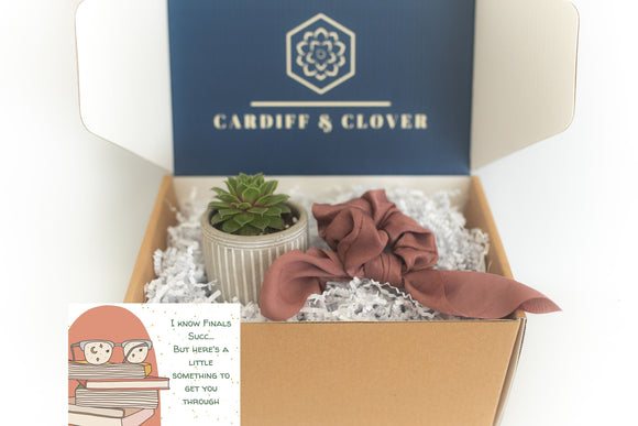 College Student Succulent Gift Box with Knotted Silk Scrunchie