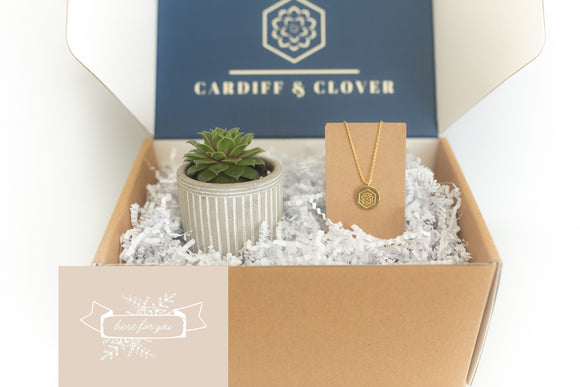 Here For You Succulent Gift Box with 18K Gold Necklace