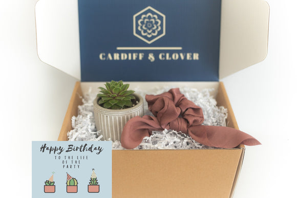 Birthday Succulent Gift Box with Knotted Silk Scrunchie