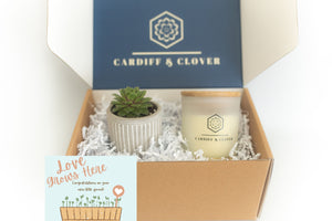 New Baby Succulent Gift Box with Scented Soy Candle