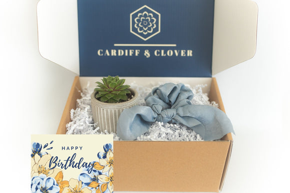 Birthday Succulent Gift Box with Knotted Silk Scrunchie