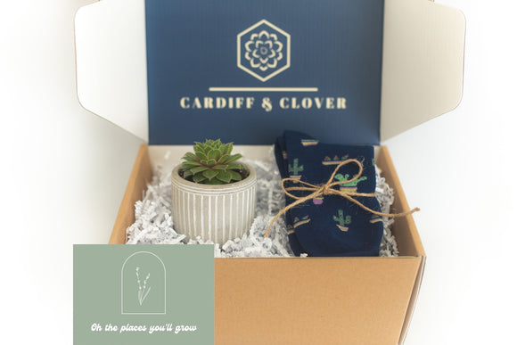 Places You'll Grow Succulent Gift Box with Plant Socks