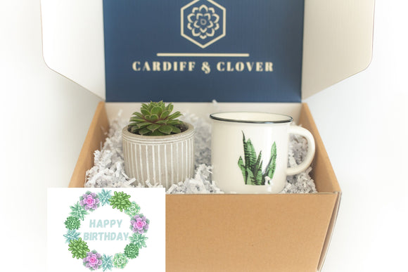 Birthday Succulent Gift Box with Ceramic Plant Mug