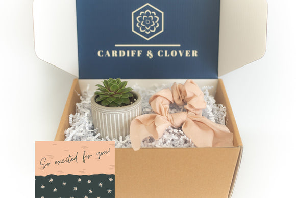 So Excited For You Succulent Gift Box with Knotted Silk Scrunchie