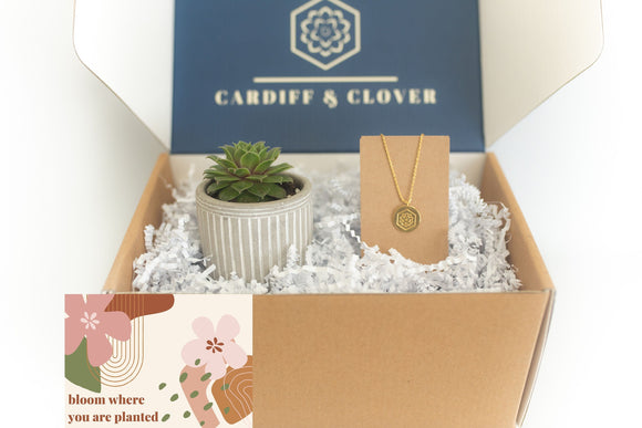 Bloom Succulent Gift Box with 18K Gold Pendant Necklace