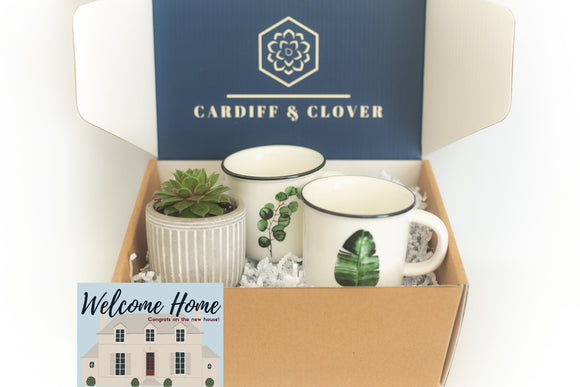 Welcome Home Succulent Gift Box with Set of 2 Mugs