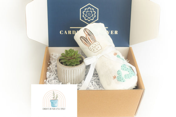 New Baby Succulent Gift Box with Swaddle Blanket