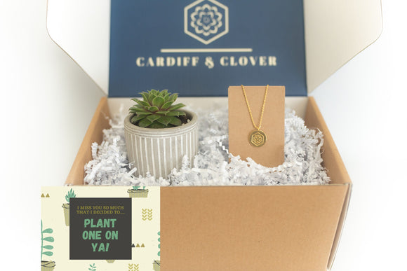 Plant One On Ya Succulent Gift Box with 18k Gold Pendant Necklace