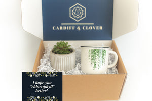 Chlorophyll Better Succulent Gift Box with Ceramic Plant Mug