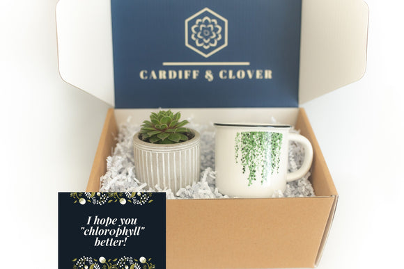 Chlorophyll Better Succulent Gift Box with Ceramic Plant Mug