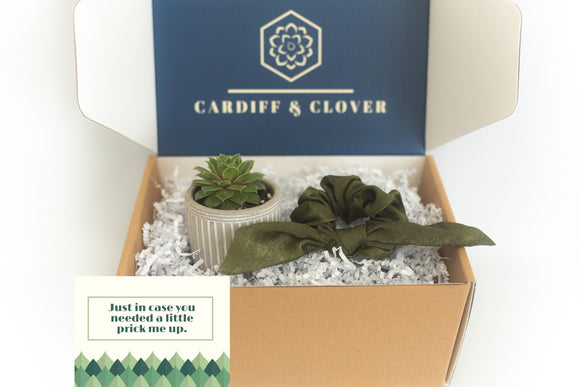 Pick Me Up Succulent Gift Box with Knotted Silk Scrunchie