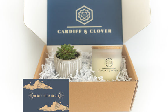 College Student Succulent Gift Box with Scented Soy Candle