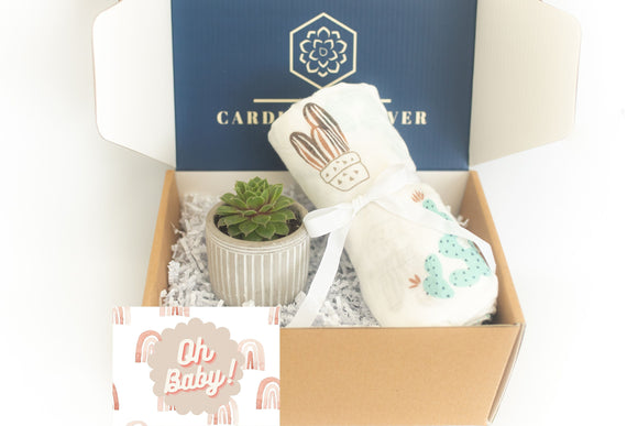 New Baby Succulent Gift Box with Swaddle Blanket