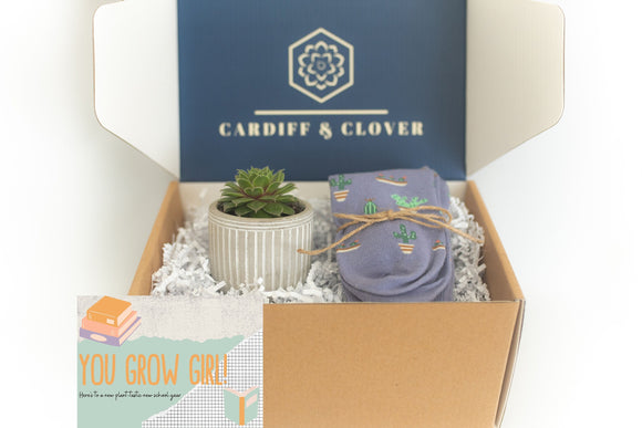 College Student Succulent Gift Box with Plant Socks