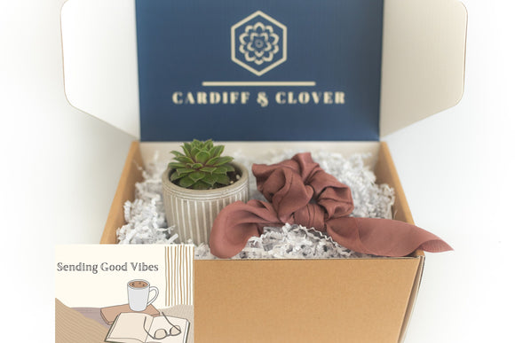 College Student Succulent Gift Box with Knotted Silk Scrunchie