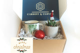 Christmas Tree Succulent Gift Box with Ceramic Plant Mug and Hot Cocoa Bomb