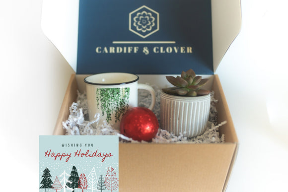 Holiday Succulent Gift Box with Ceramic Plant Mug and Hot Cocoa Bomb