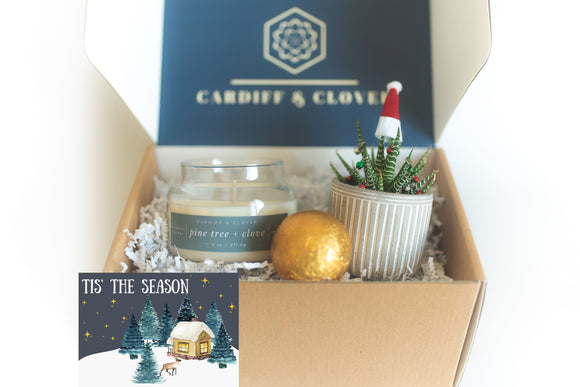 Christmas Tree Succulent Gift Box with Holiday Scented Soy Candle and Hot Cocoa Bomb